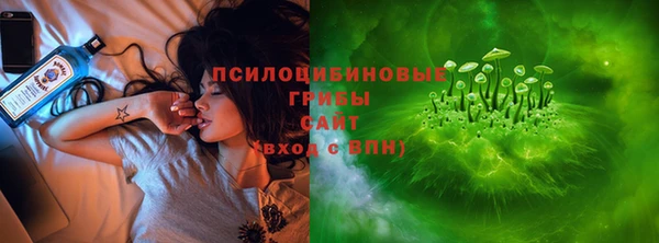 тгк Алексин