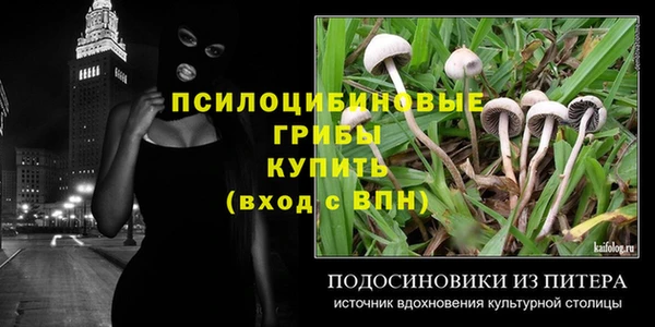 круглые Алексеевка