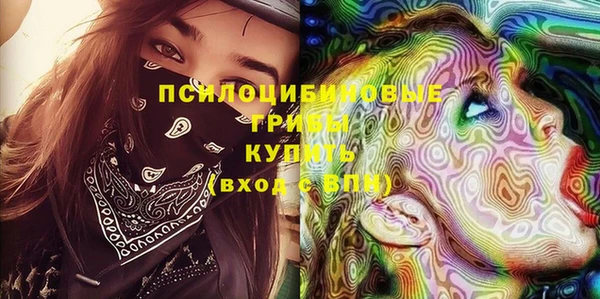 круглые Алексеевка