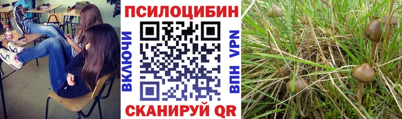 наркотики  Арамиль  мега ТОР  Псилоцибиновые грибы Psilocybine cubensis 